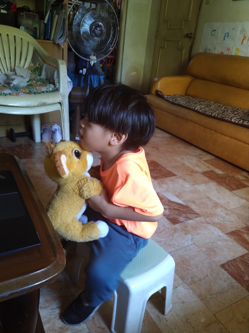 Show and Tell:&nbsp;Simba