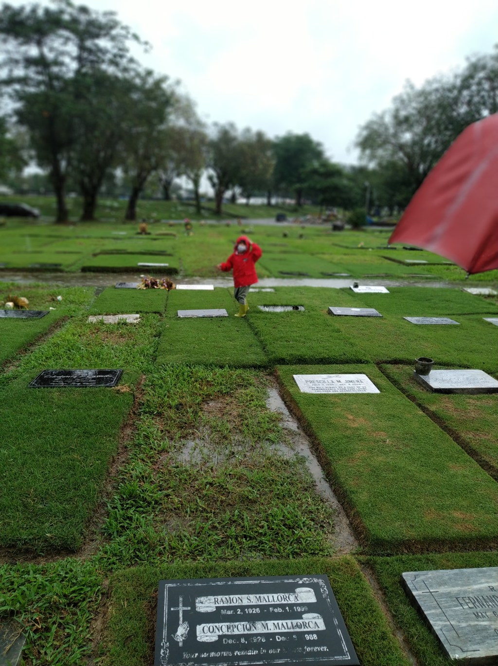 Lucas Chronicles: Visiting&nbsp;Lolo