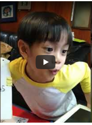 Hedwig the fattest&nbsp;cat