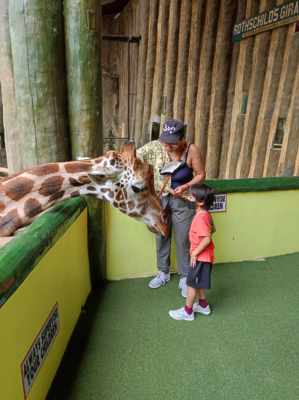 Meeting Barry – Lucas’ Favorite&nbsp;Giraffe