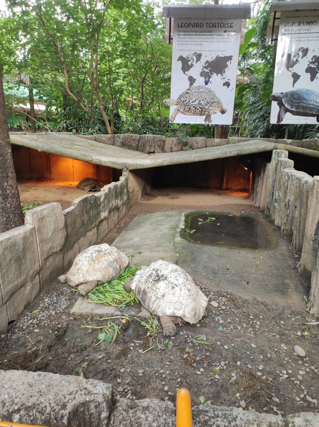 Heroes in a Half Shell, Turtle&nbsp;Power