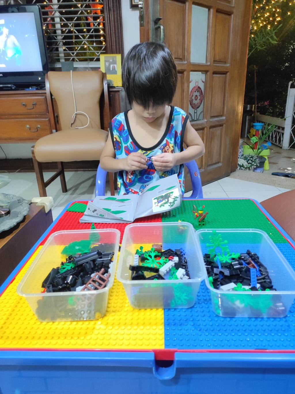 Building LEGO