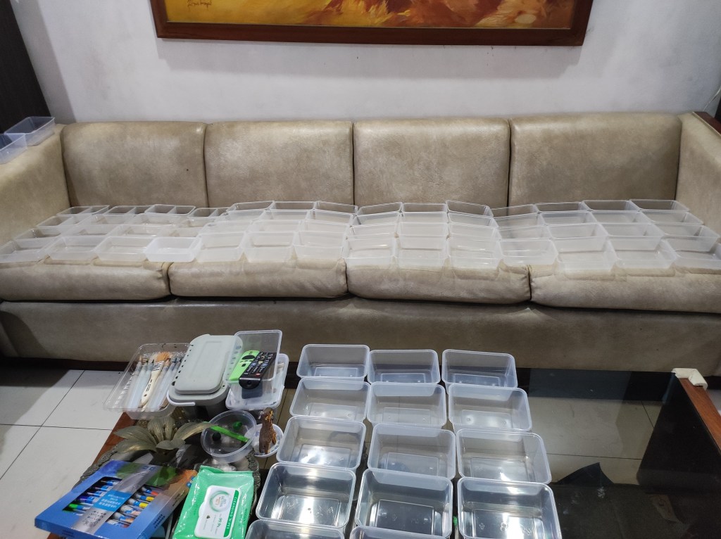 Packing candy for&nbsp;Halloween