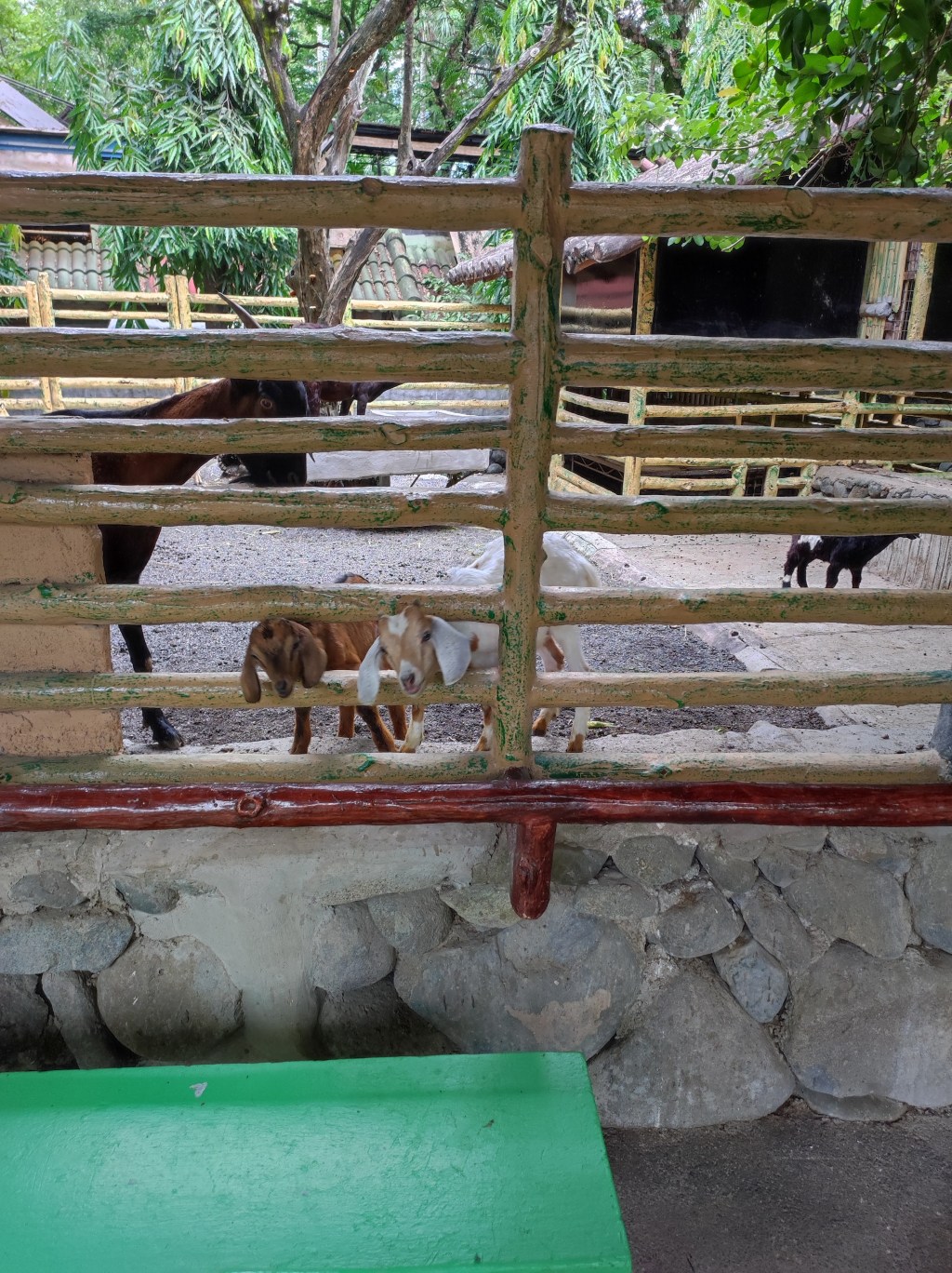 The Greatest Of All&nbsp;Time!